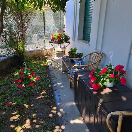 La Casa Di Alvy Hotell Pescara Eksteriør bilde